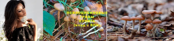 мескалин Абдулино