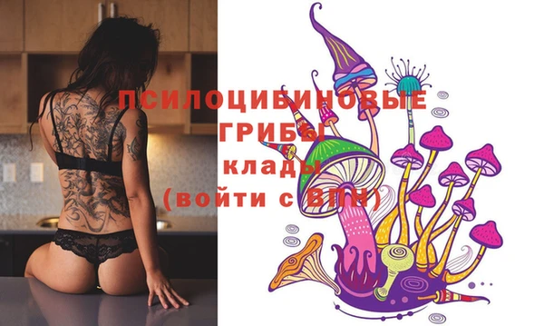 ПСИЛОЦИБИНОВЫЕ ГРИБЫ Осинники