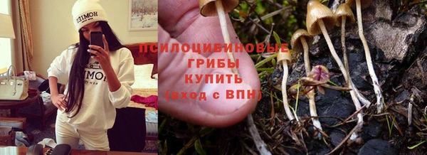 spice Абаза