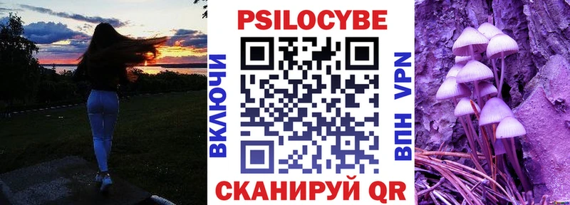 Псилоцибиновые грибы Psilocybine cubensis  kraken   Людиново 